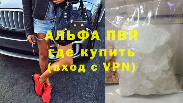 сатива Козельск