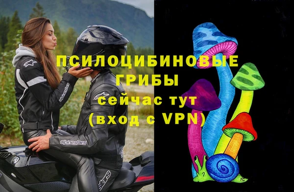 сатива Козельск
