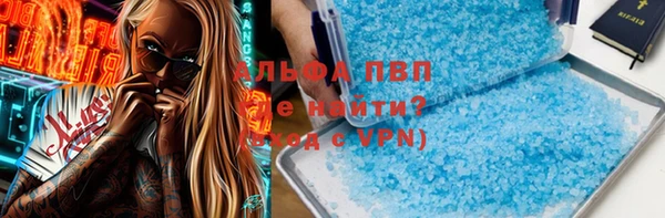 сатива Козельск