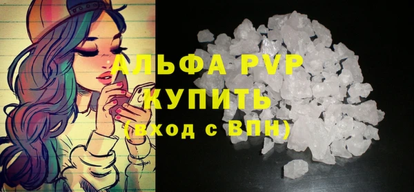 сатива Козельск