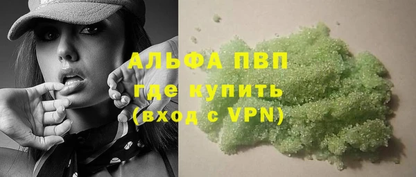 сатива Козельск