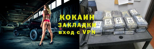 сатива Козельск
